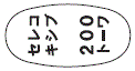 外径画像