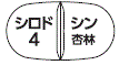 外径画像