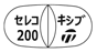 外径画像