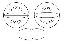外径画像